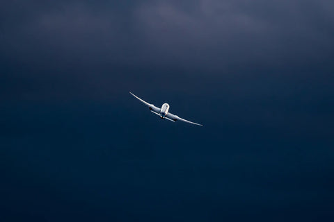 Exciting Discovery Flights Your First Step in Aviation